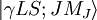 | \gamma L S ; J M_J \rangle